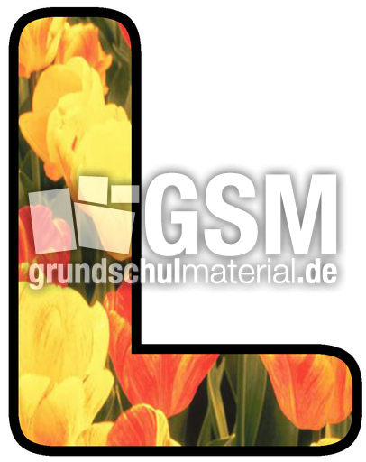 Dekobuchstaben-Tulpe_L.jpg